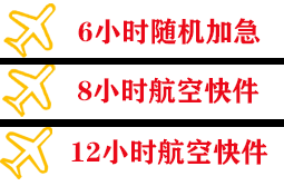白莲空运代理快递公司,专业空运当天件
